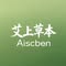 艾上草本Aiscben