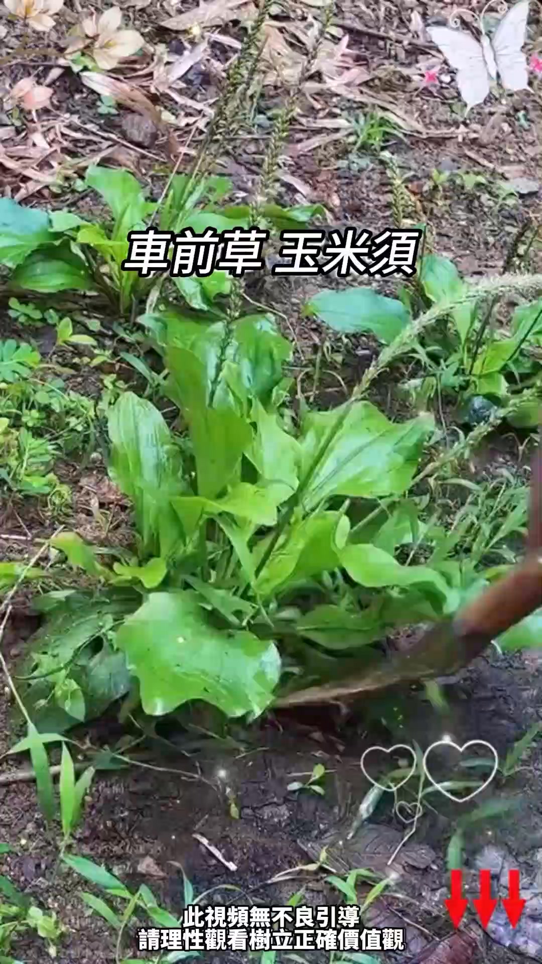 廣告媒體