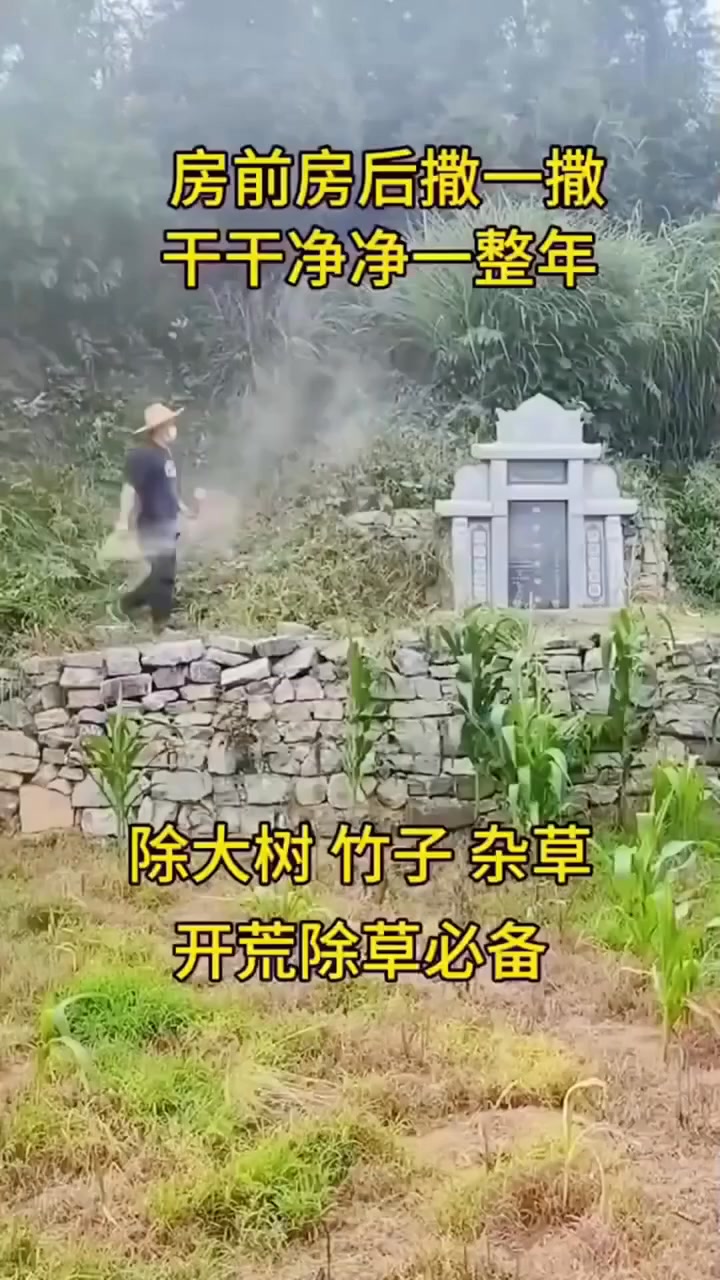 廣告媒體