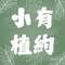 小植有約 